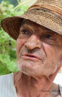 /album/fotogaleria/img-8256-masolata-jpg/